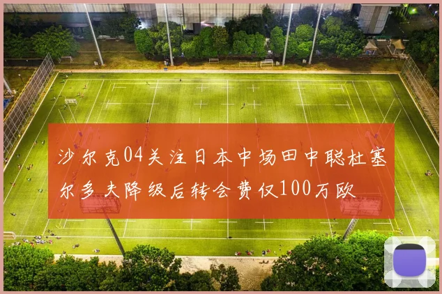 沙尔克04关注日本中场田中聪杜塞尔多夫降级后转会费仅100万欧
