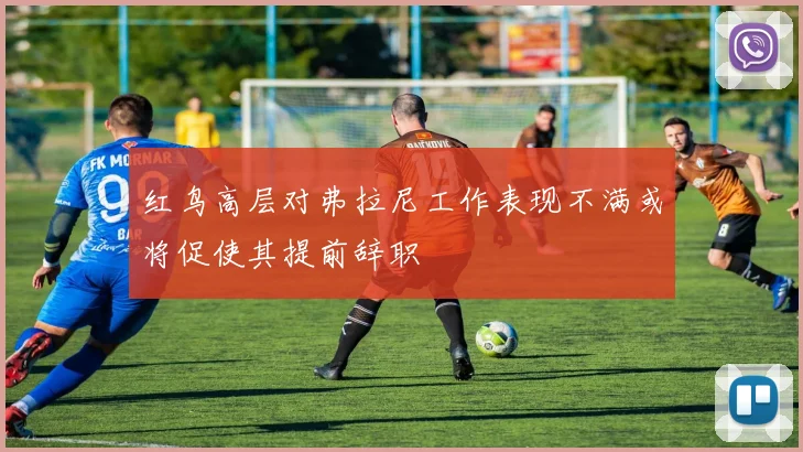 红鸟高层对弗拉尼工作表现不满或将促使其提前辞职